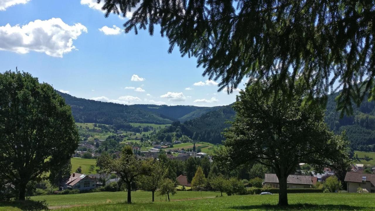 Schwarzwaelder Ferienwohnungen Seelbach Kültér fotó