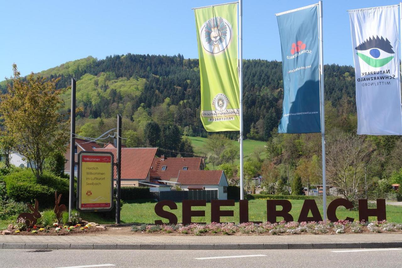 Schwarzwaelder Ferienwohnungen Seelbach Kültér fotó