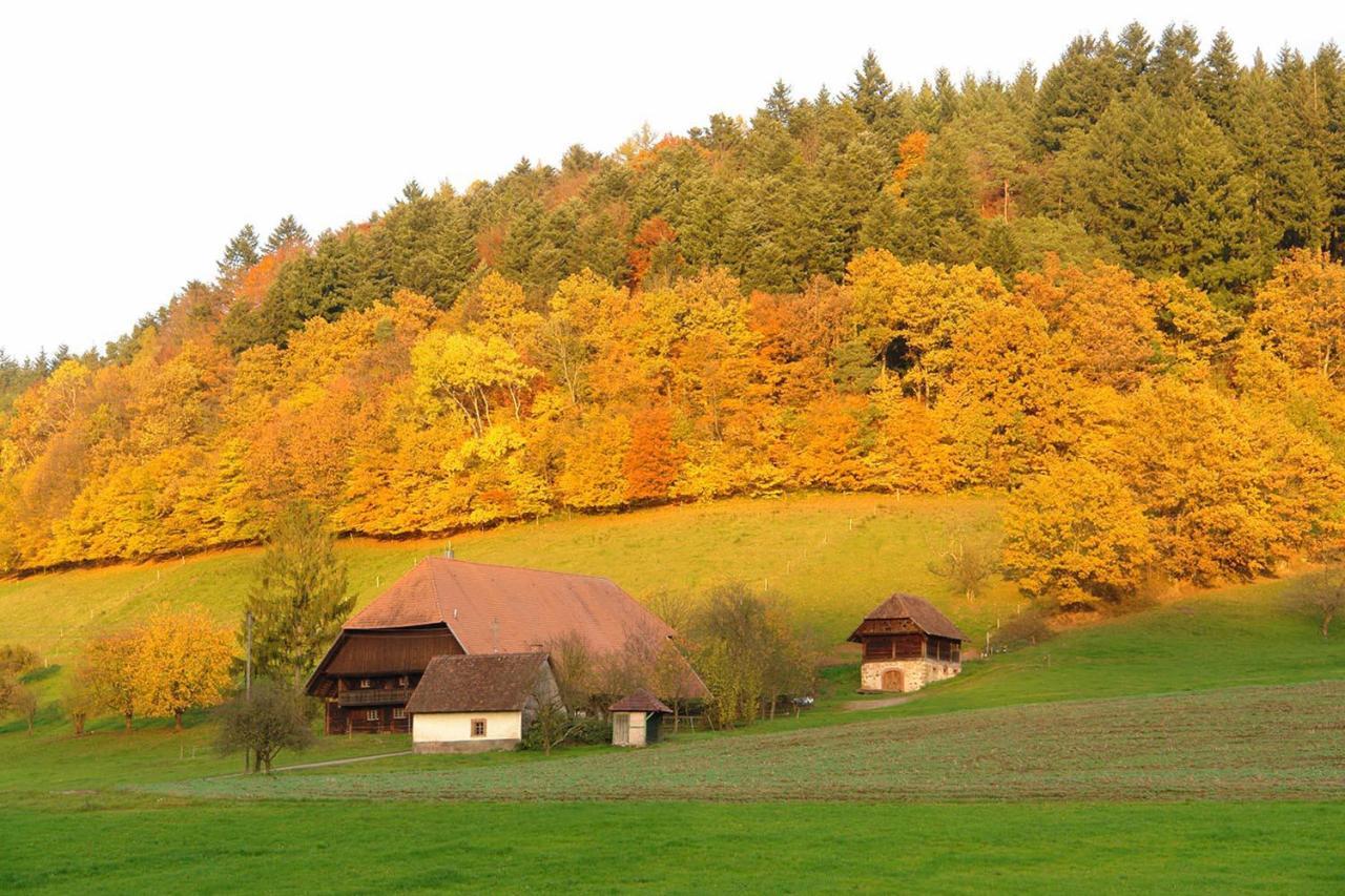 Schwarzwaelder Ferienwohnungen Seelbach Kültér fotó