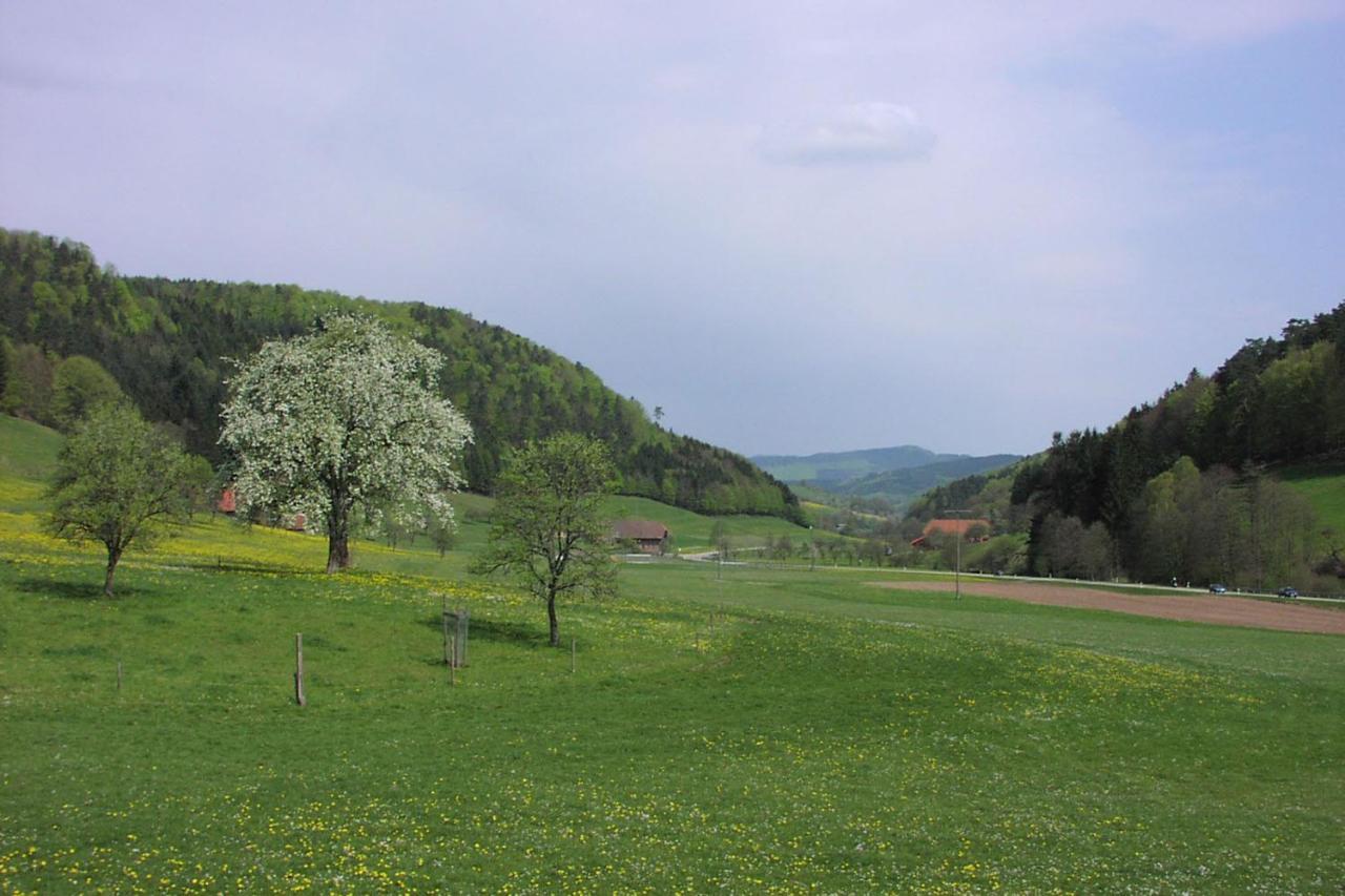 Schwarzwaelder Ferienwohnungen Seelbach Kültér fotó