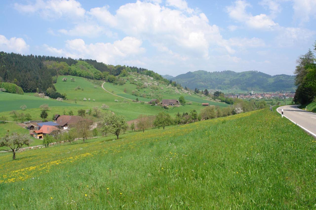Schwarzwaelder Ferienwohnungen Seelbach Kültér fotó