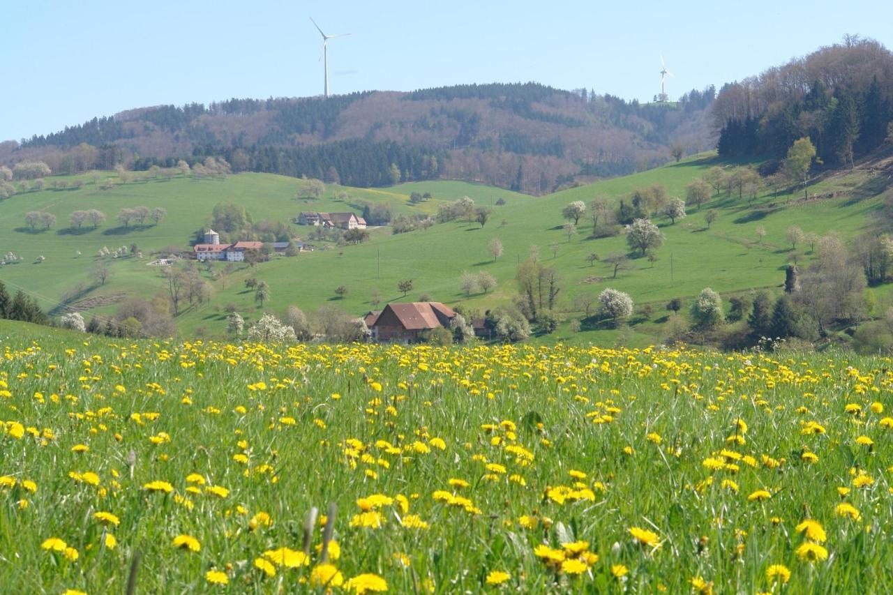 Schwarzwaelder Ferienwohnungen Seelbach Kültér fotó